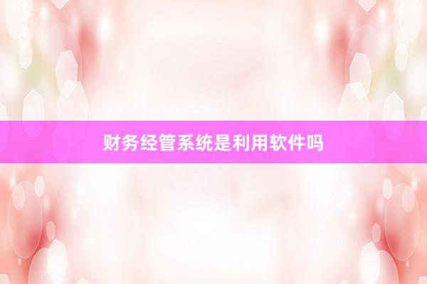 财务经管系统是利用软件吗