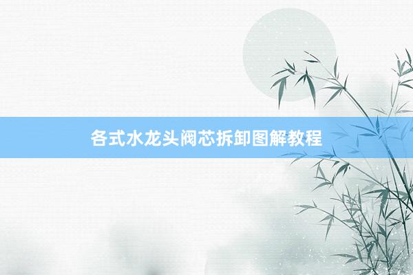 各式水龙头阀芯拆卸图解教程