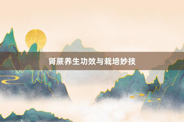 肾蕨养生功效与栽培妙技