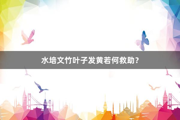 水培文竹叶子发黄若何救助？