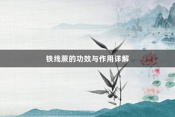 铁线蕨的功效与作用详解